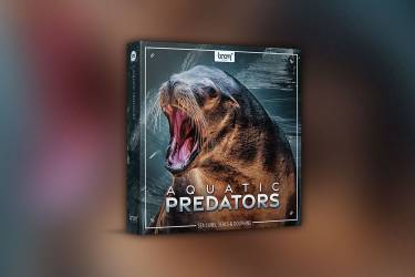 海狮海豹海象海豚音效包 | Boom Aquatic Predators | WAV格式/192KHz/24Bit/179个音效